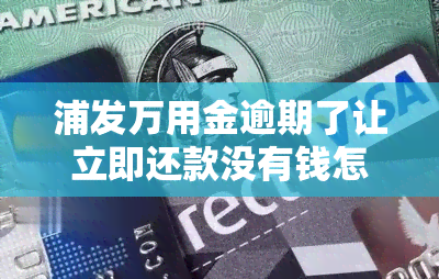 浦发万用金逾期了让立即还款没有钱怎么办，无钱偿还浦发万用金逾期，应该采取什么措？