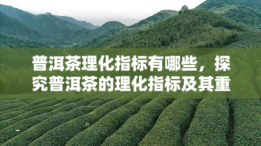 普洱茶理化指标有哪些，探究普洱茶的理化指标及其重要性