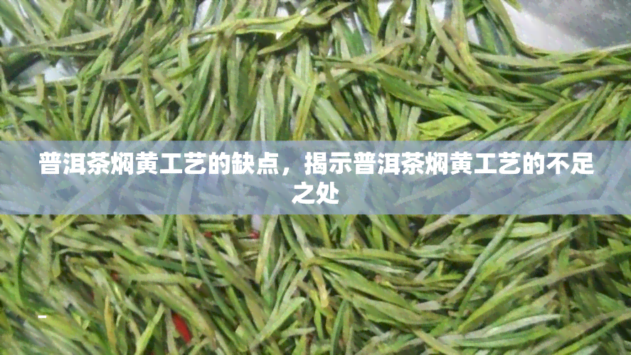 普洱茶焖黄工艺的缺点，揭示普洱茶焖黄工艺的不足之处