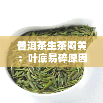 普洱茶生茶闷黄：叶底易碎原因解析