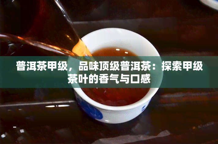 普洱茶甲级，品味顶级普洱茶：探索甲级茶叶的香气与口感