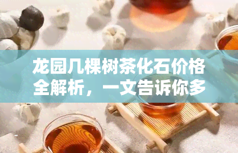 龙园几棵树茶化石价格全解析，一文告诉你多少钱一个！