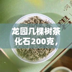 龙园几棵树茶化石200克，探索古树韵味：品尝龙园几棵树茶化石200克