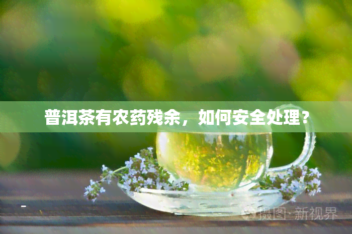 普洱茶有农残余，如何安全处理？