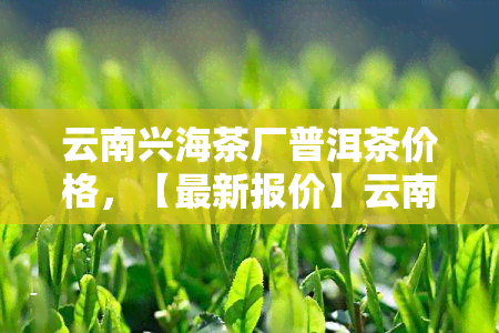 云南兴海茶厂普洱茶价格，【最新报价】云南兴海茶厂普洱茶价格表