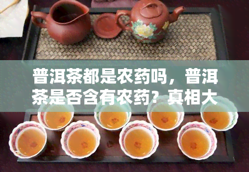 普洱茶都是农吗，普洱茶是否含有农？真相大揭秘！