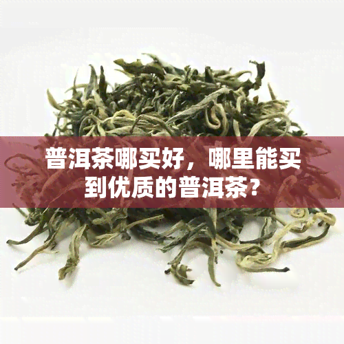 普洱茶哪买好，哪里能买到优质的普洱茶？