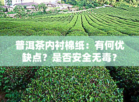 普洱茶内衬棉纸：有何优缺点？是否安全无？