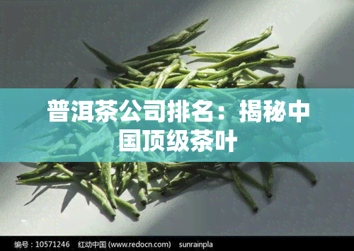 普洱茶公司排名：揭秘中国顶级茶叶