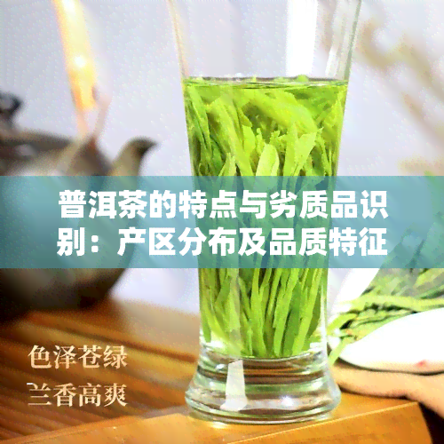 普洱茶的特点与劣质品识别：产区分布及品质特征