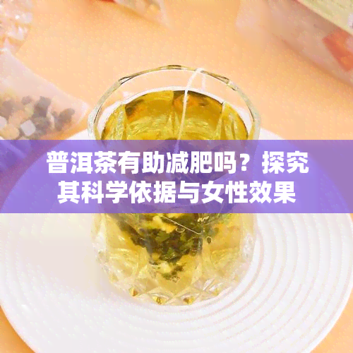 普洱茶有助减肥吗？探究其科学依据与女性效果