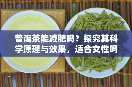 普洱茶能减肥吗？探究其科学原理与效果，适合女性吗？