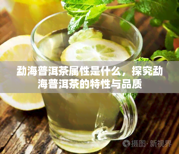 勐海普洱茶属性是什么，探究勐海普洱茶的特性与品质