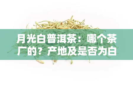 月光白普洱茶：哪个茶厂的？产地及是否为白茶解析