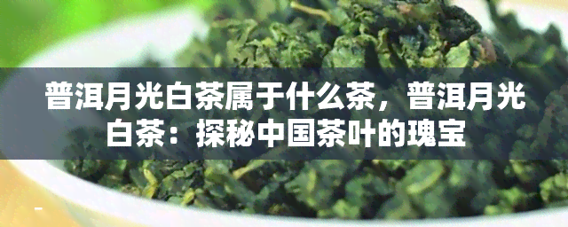 普洱月光白茶属于什么茶，普洱月光白茶：探秘中国茶叶的瑰宝