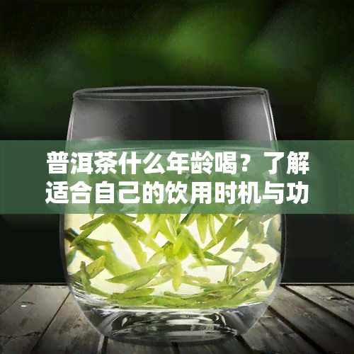 普洱茶什么年龄喝？了解适合自己的饮用时机与功效