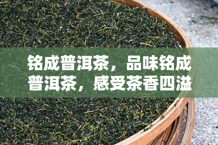 铭成普洱茶，品味铭成普洱茶，感受茶香四溢的美妙体验