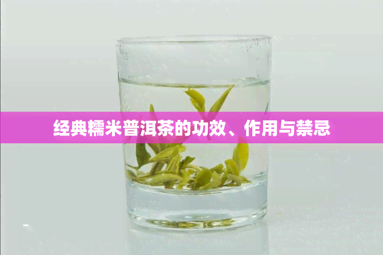 经典糯米普洱茶的功效、作用与禁忌