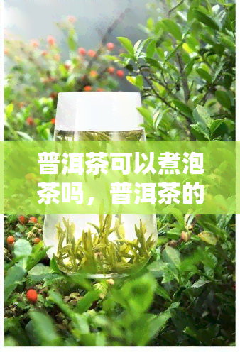 普洱茶可以煮泡茶吗，普洱茶的正确冲泡方式：煮还是泡？