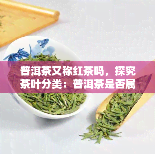 普洱茶又称红茶吗，探究茶叶分类：普洱茶是否属于红茶？