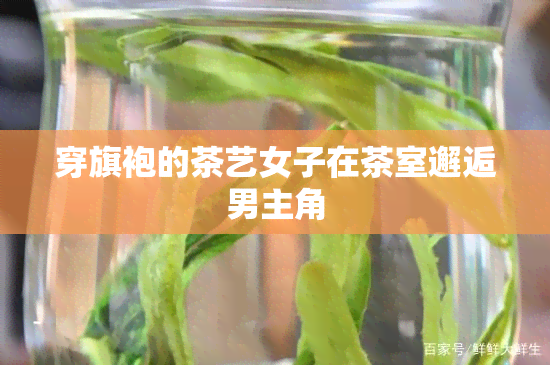 穿旗袍的茶艺女子在茶室邂逅男主角