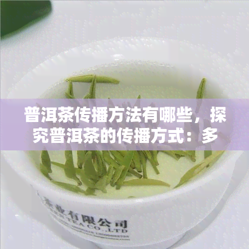 普洱茶传播方法有哪些，探究普洱茶的传播方式：多样化的方法及其效果