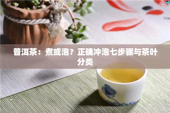 普洱茶：煮或泡？正确冲泡七步骤与茶叶分类