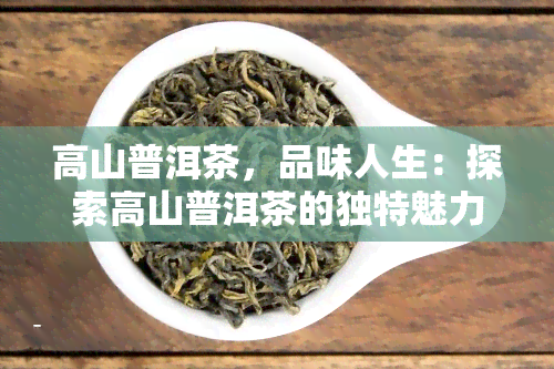 高山普洱茶，品味人生：探索高山普洱茶的独特魅力与历文化