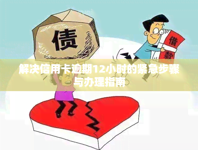 解决信用卡逾期12小时的紧急步骤与办理指南