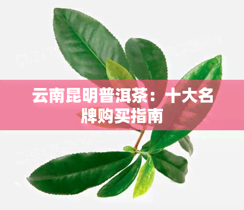 云南昆明普洱茶：十大名牌购买指南