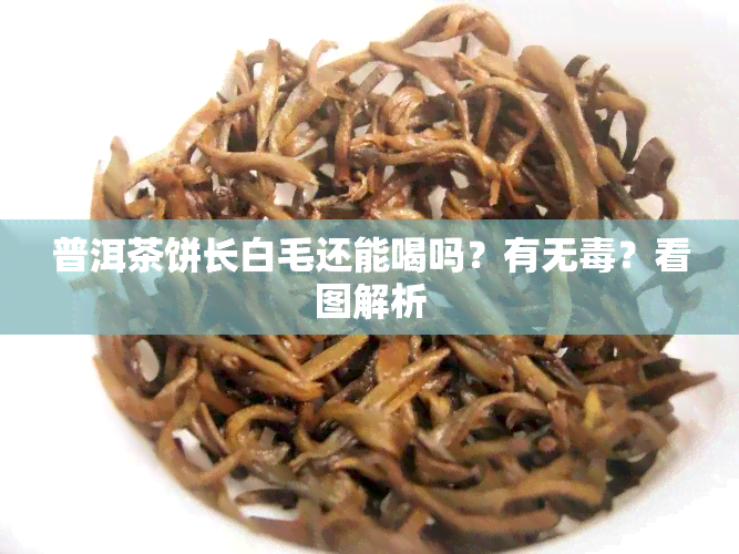 普洱茶饼长白毛还能喝吗？有无？看图解析