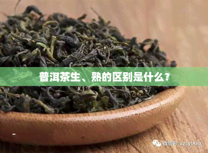 普洱茶生、熟的区别是什么？