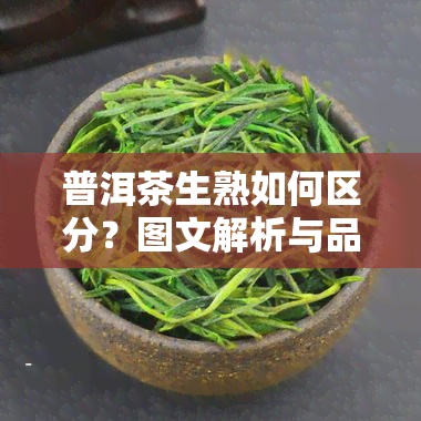 普洱茶生熟如何区分？图文解析与品质辨别方法