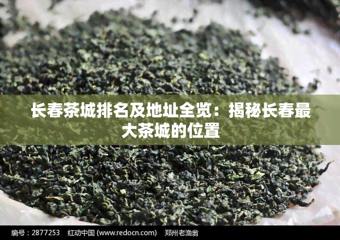 长春茶城排名及地址全览：揭秘长春更大茶城的位置