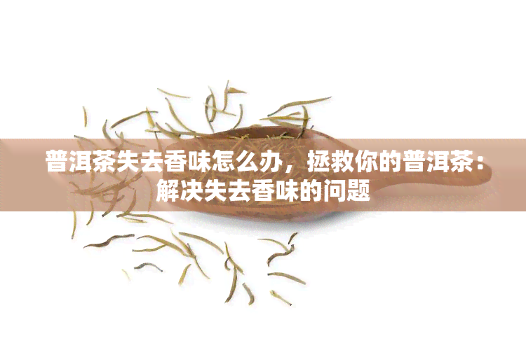 普洱茶失去香味怎么办，拯救你的普洱茶：解决失去香味的问题