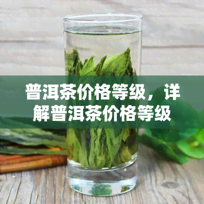 普洱茶价格等级，详解普洱茶价格等级体系，带你了解高品质茶叶的定价规则