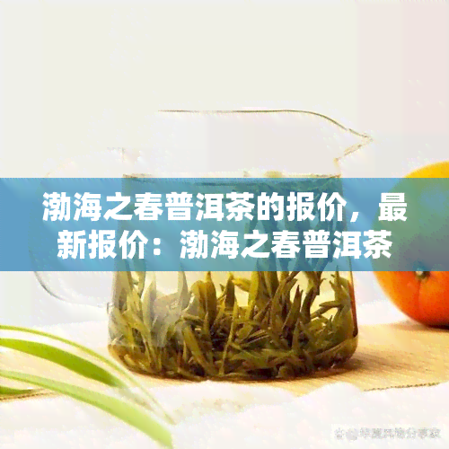 渤海之春普洱茶的报价，最新报价：渤海之春普洱茶价格一览