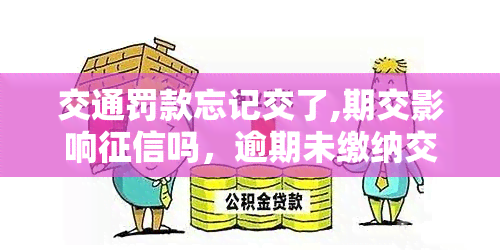 交通罚款忘记交了,期交影响吗，逾期未缴纳交通罚款是否会影响个人？