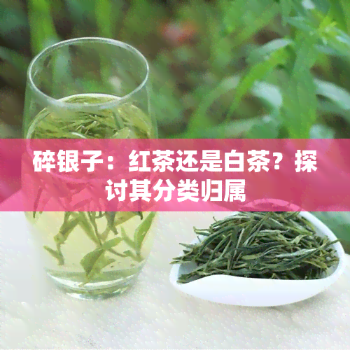 碎银子：红茶还是白茶？探讨其分类归属