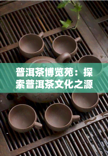 普洱茶博览苑：探索普洱茶文化之源与店体验