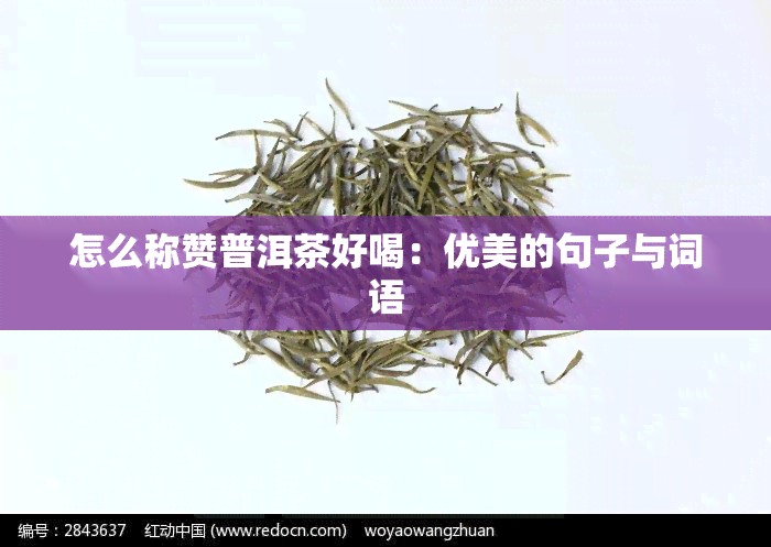 怎么称赞普洱茶好喝：优美的句子与词语