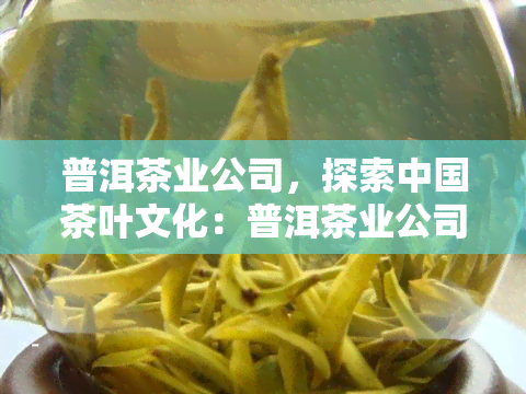 普洱茶业公司，探索中国茶叶文化：普洱茶业公司的崛起与影响力