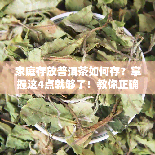 家庭存放普洱茶如何存？掌握这4点就够了！教你正确存放，让茶叶口感更佳。