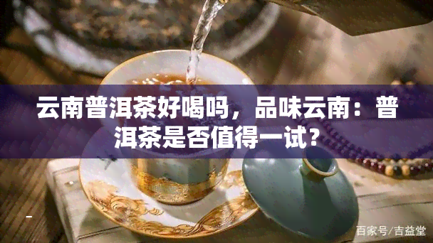 云南普洱茶好喝吗，品味云南：普洱茶是否值得一试？