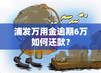 浦发万用金逾期6万如何还款？