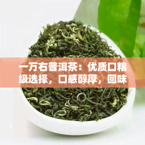 一万右普洱茶：优质口粮级选择，口感醇厚，回味悠长