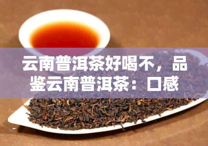 云南普洱茶好喝不，品鉴云南普洱茶：口感醇厚，回味无穷！