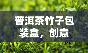 普洱茶竹子包装盒，创意复古 普洱茶饼礼盒 竹子包装盒子 礼品袋 礼盒包装盒 易携带茶叶罐 节礼物 竹茶叶盒 茶叶包装盒复古 中国风包装设计 礼物盒包装 特色礼品盒