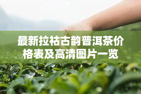 最新拉祜古韵普洱茶价格表及高清图片一览