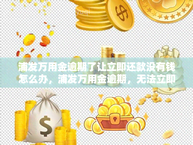 浦发万用金逾期了让立即还款没有钱怎么办，浦发万用金逾期，无法立即还款，解决方案探讨